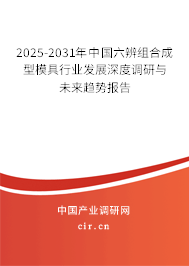 2025-2031年中國(guó)六辨組合成型模具行業(yè)發(fā)展深度調(diào)研與未來(lái)趨勢(shì)報(bào)告