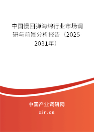 中國慢回彈海綿行業(yè)市場調(diào)研與前景分析報告（2025-2031年）