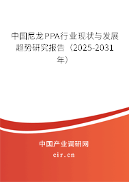中國尼龍PPA行業(yè)現(xiàn)狀與發(fā)展趨勢研究報告（2025-2031年）