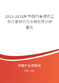 2025-2031年中國汽車維修工具行業(yè)研究與市場前景分析報告