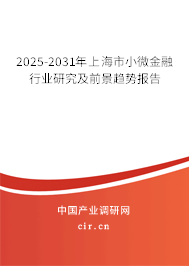 2025-2031年上海市小微金融行業(yè)研究及前景趨勢(shì)報(bào)告