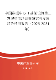中國(guó)數(shù)據(jù)中心IT基礎(chǔ)設(shè)施第三方服務(wù)市場(chǎng)調(diào)查研究與發(fā)展趨勢(shì)預(yù)測(cè)報(bào)告（2025-2031年）