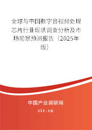 全球與中國(guó)數(shù)字音視頻處理芯片行業(yè)現(xiàn)狀調(diào)查分析及市場(chǎng)前景預(yù)測(cè)報(bào)告（2025年版）