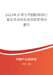 2025年全球與中國四極管行業(yè)現(xiàn)狀調(diào)研及發(fā)展趨勢預(yù)測報告