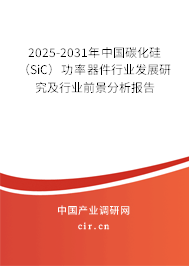 2025-2031年中國(guó)碳化硅（SiC）功率器件行業(yè)發(fā)展研究及行業(yè)前景分析報(bào)告