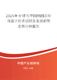 2025年全球與中國橢圓齒輪流量計(jì)現(xiàn)狀調(diào)研及發(fā)展趨勢走勢分析報(bào)告