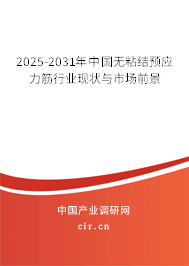2025-2031年中國無粘結(jié)預(yù)應(yīng)力筋行業(yè)現(xiàn)狀與市場前景