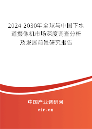 2024-2030年全球與中國下水道攝像機市場深度調(diào)查分析及發(fā)展前景研究報告