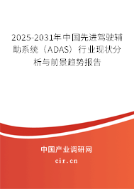 2025-2031年中國(guó)先進(jìn)駕駛輔助系統(tǒng)（ADAS）行業(yè)現(xiàn)狀分析與前景趨勢(shì)報(bào)告