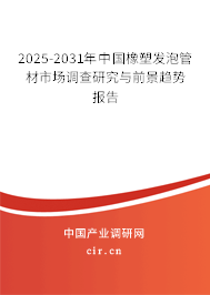 2025-2031年中國(guó)橡塑發(fā)泡管材市場(chǎng)調(diào)查研究與前景趨勢(shì)報(bào)告