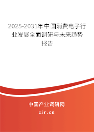 2025-2031年中國消費(fèi)電子行業(yè)發(fā)展全面調(diào)研與未來趨勢報(bào)告