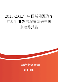 2025-2031年中國(guó)新能源汽車電機(jī)行業(yè)發(fā)展深度調(diào)研與未來(lái)趨勢(shì)報(bào)告