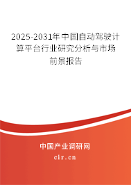 2025-2031年中國自動駕駛計算平臺行業(yè)研究分析與市場前景報告