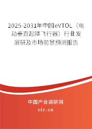 2025-2031年中國(guó)eVTOL（電動(dòng)垂直起降飛行器）行業(yè)發(fā)展研及市場(chǎng)前景預(yù)測(cè)報(bào)告
