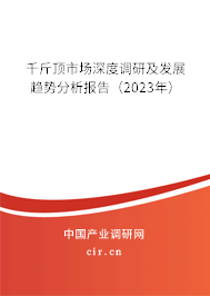 千斤頂市場(chǎng)深度調(diào)研及發(fā)展趨勢(shì)分析報(bào)告（2023年）