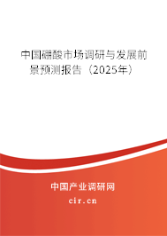 中國硼酸市場調(diào)研與發(fā)展前景預(yù)測報告（2025年）