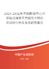 2025-2031年中國數(shù)據(jù)中心IT基礎(chǔ)設(shè)施第三方服務(wù)市場現(xiàn)狀調(diào)研分析及發(fā)展趨勢報告