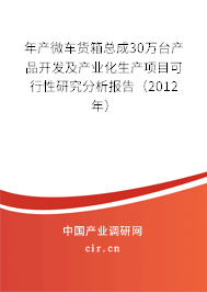 年產(chǎn)微車貨箱總成30萬(wàn)臺(tái)產(chǎn)品開(kāi)發(fā)及產(chǎn)業(yè)化生產(chǎn)項(xiàng)目可行性研究分析報(bào)告（2012年）