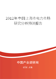 2012年中國(guó)上海市電力市場(chǎng)研究分析預(yù)測(cè)報(bào)告