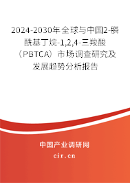 2024-2030年全球與中國2-膦酰基丁烷-1,2,4-三羧酸（PBTCA）市場調(diào)查研究及發(fā)展趨勢分析報(bào)告
