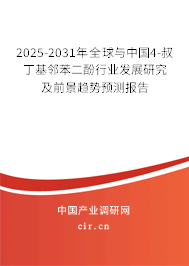 2025-2031年全球與中國4-叔丁基鄰苯二酚行業(yè)發(fā)展研究及前景趨勢預(yù)測報告