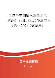全球與中國抽水蓄能水電（PSH）行業(yè)現(xiàn)狀及發(fā)展前景報(bào)告（2024-2030年）