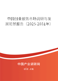中國創(chuàng)業(yè)服務(wù)市場調(diào)研與發(fā)展前景報(bào)告（2025-2031年）