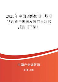 2025年中國道路檢測市場現(xiàn)狀調(diào)查與未來發(fā)展前景趨勢報告（下架）