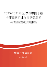 2025-2031年全球與中國丁胺卡那霉素行業(yè)發(fā)展研究分析與發(fā)展趨勢預(yù)測報告