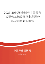 2025-2030年全球與中國(guó)分布式混合基礎(chǔ)設(shè)施行業(yè)發(fā)展分析及前景趨勢(shì)報(bào)告