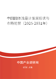 中國(guó)固體流量計(jì)發(fā)展現(xiàn)狀與市場(chǎng)前景（2025-2031年）