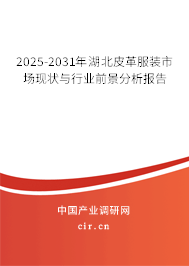 2025-2031年湖北皮革服裝市場(chǎng)現(xiàn)狀與行業(yè)前景分析報(bào)告