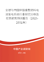 全球與中國(guó)甲醇重整燃料電池發(fā)電系統(tǒng)行業(yè)研究分析及前景趨勢(shì)預(yù)測(cè)報(bào)告（2025-2031年）