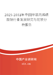 2025-2031年中國(guó)甲基丙烯磺酸鈉行業(yè)發(fā)展研究與前景分析報(bào)告