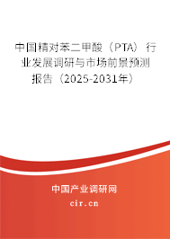 中國精對苯二甲酸（PTA）行業(yè)發(fā)展調(diào)研與市場前景預測報告（2025-2031年）