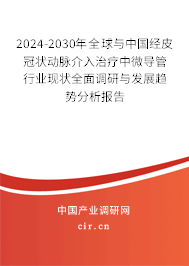 2024-2030年全球與中國經(jīng)皮冠狀動脈介入治療中微導(dǎo)管行業(yè)現(xiàn)狀全面調(diào)研與發(fā)展趨勢分析報告