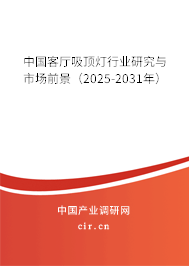 中國客廳吸頂燈行業(yè)研究與市場前景（2025-2031年）