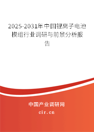 2025-2031年中國鋰離子電池模組行業(yè)調(diào)研與前景分析報(bào)告