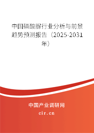 中國磷酸脲行業(yè)分析與前景趨勢預(yù)測報(bào)告（2025-2031年）