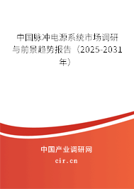 中國脈沖電源系統(tǒng)市場調(diào)研與前景趨勢報(bào)告（2025-2031年）