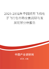 （最新）中國(guó)民用飛機(jī)電子飛行包市場(chǎng)全面調(diào)研與發(fā)展前景分析報(bào)告