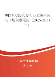 中國(guó)NAND閃存行業(yè)發(fā)展研究與市場(chǎng)前景報(bào)告（2025-2031年）