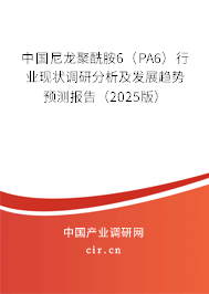 中國尼龍聚酰胺6（PA6）行業(yè)現(xiàn)狀調(diào)研分析及發(fā)展趨勢預測報告（2025版）