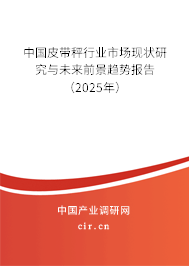 中國皮帶秤行業(yè)市場現(xiàn)狀研究與未來前景趨勢報(bào)告（2024年）