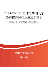 2024-2030年全球與中國汽車碰撞模擬器行業(yè)發(fā)展深度調研與未來趨勢分析報告