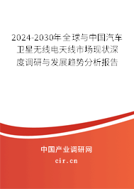 2024-2030年全球與中國汽車衛(wèi)星無線電天線市場現(xiàn)狀深度調(diào)研與發(fā)展趨勢分析報告