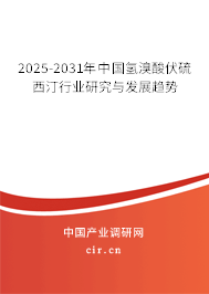 2025-2031年中國氫溴酸伏硫西汀行業(yè)研究與發(fā)展趨勢