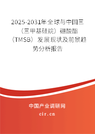 2025-2031年全球與中國三（三甲基硅烷）硼酸酯（TMSB）發(fā)展現(xiàn)狀及前景趨勢分析報(bào)告