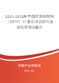 2025-2031年中國三聚磷酸鈉（STPP）行業(yè)現(xiàn)狀調研與發(fā)展前景預測報告
