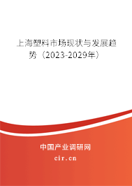 上海塑料市場現(xiàn)狀與發(fā)展趨勢（2023-2029年）